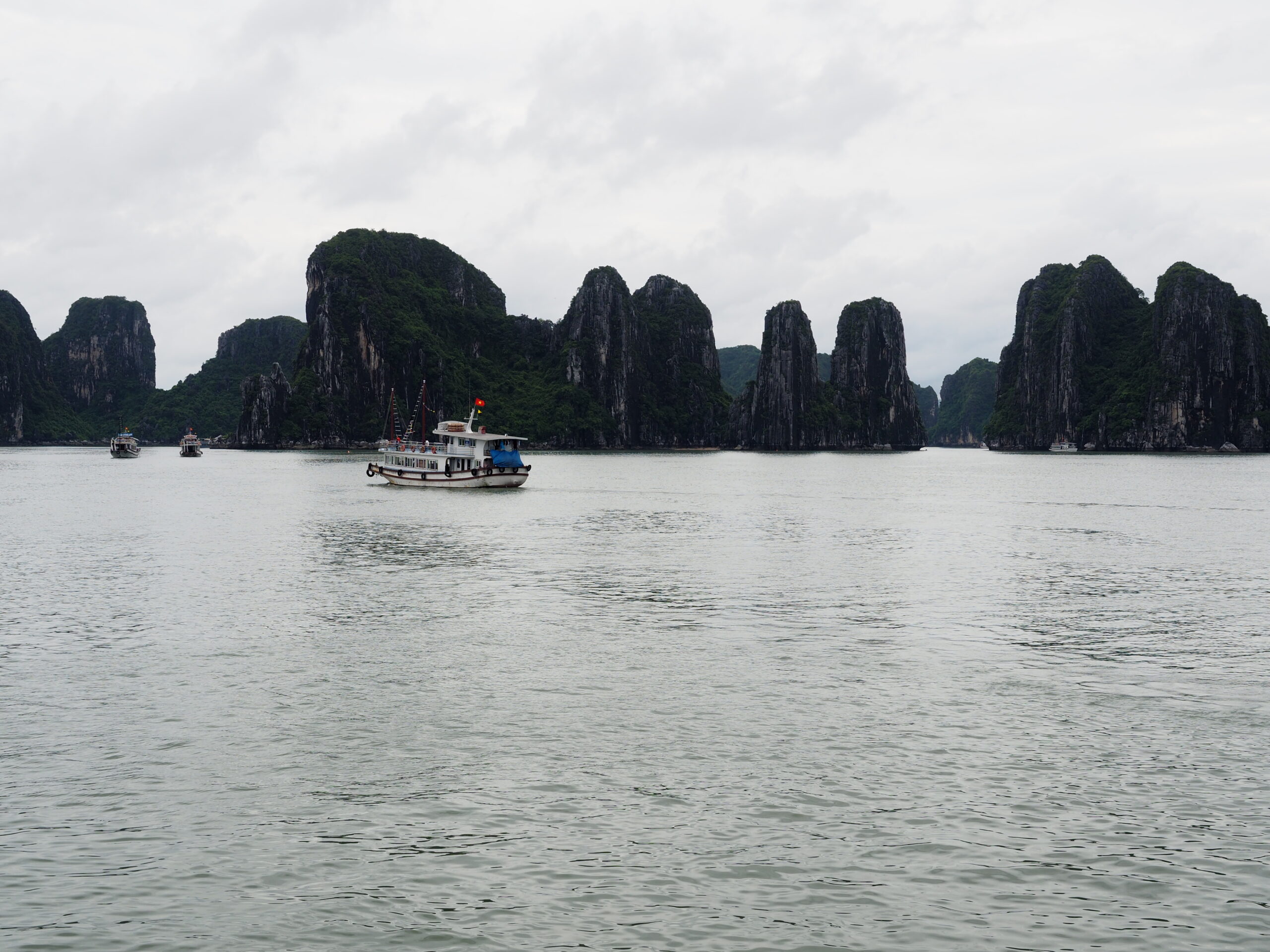 個人参加の海外留学